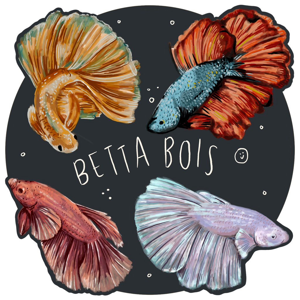 Betta Bois